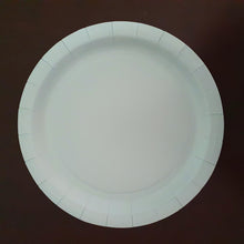 Cargar imagen en el visor de la galería, Platos de colores sin diseño. Principales. 9 Pulgadas
